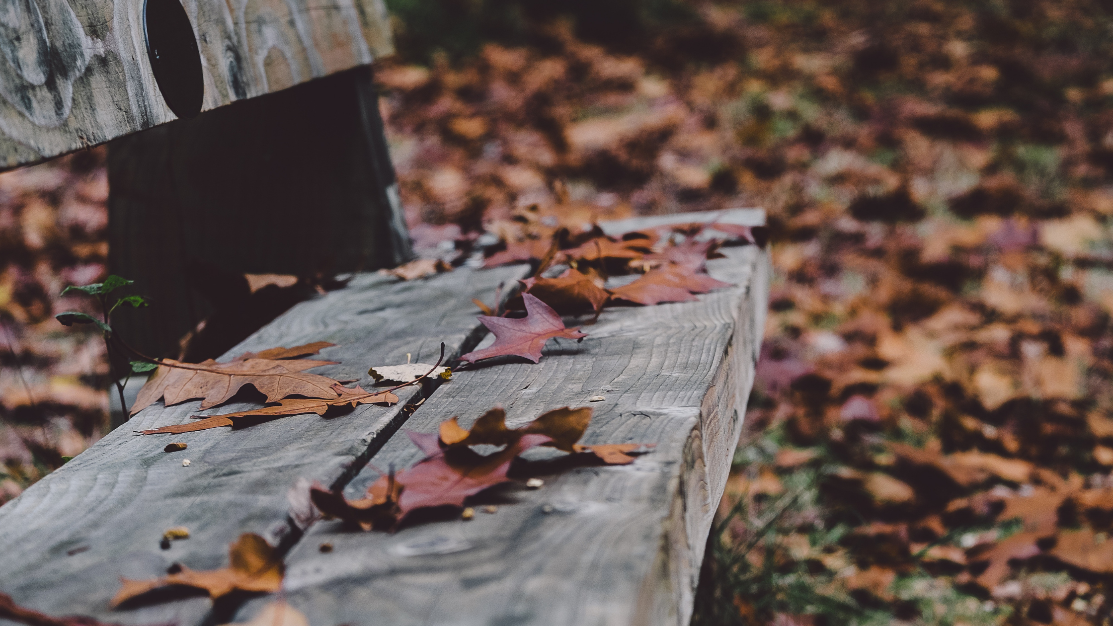 Classic Homes Real Estate Newsletter - Month of November